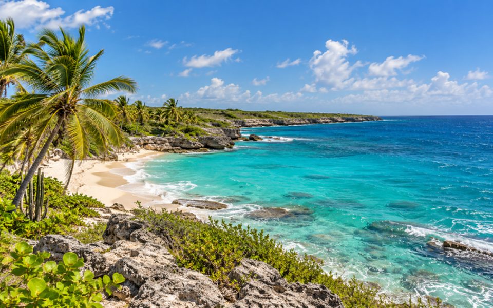 Bright turquoise beach cove with white sand, rocky cliffs and palm trees near Bridgetown, Barbados