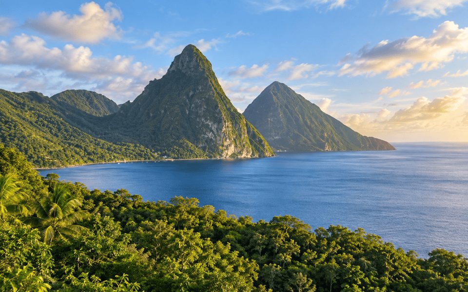 The Pitons rising from a calm blue sea beyond lush rainforest canopy in Saint Lucia