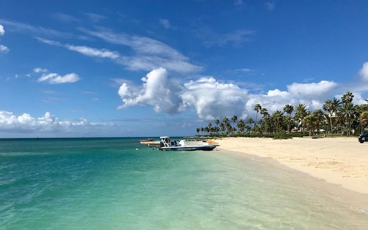 Turquoise Caribbean water and palm-lined beach used for the flight alert banner