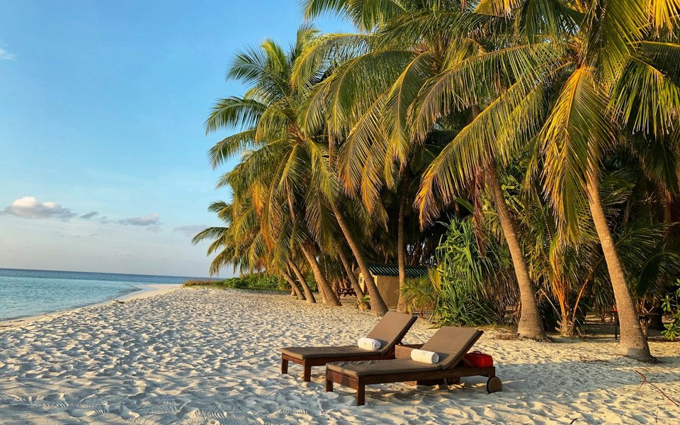 Palm trees and lounge chairs on a sunny beach for a warm February escape from Canada